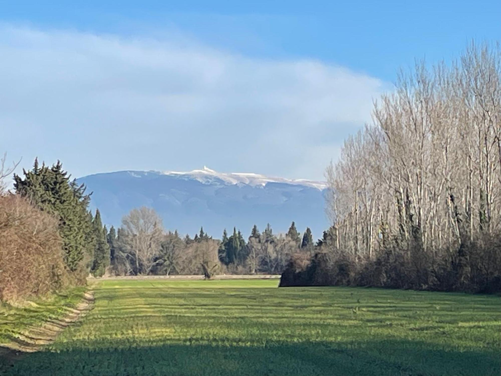 فيلا La Petite Rive - Les Oliviers Velleron المظهر الخارجي الصورة