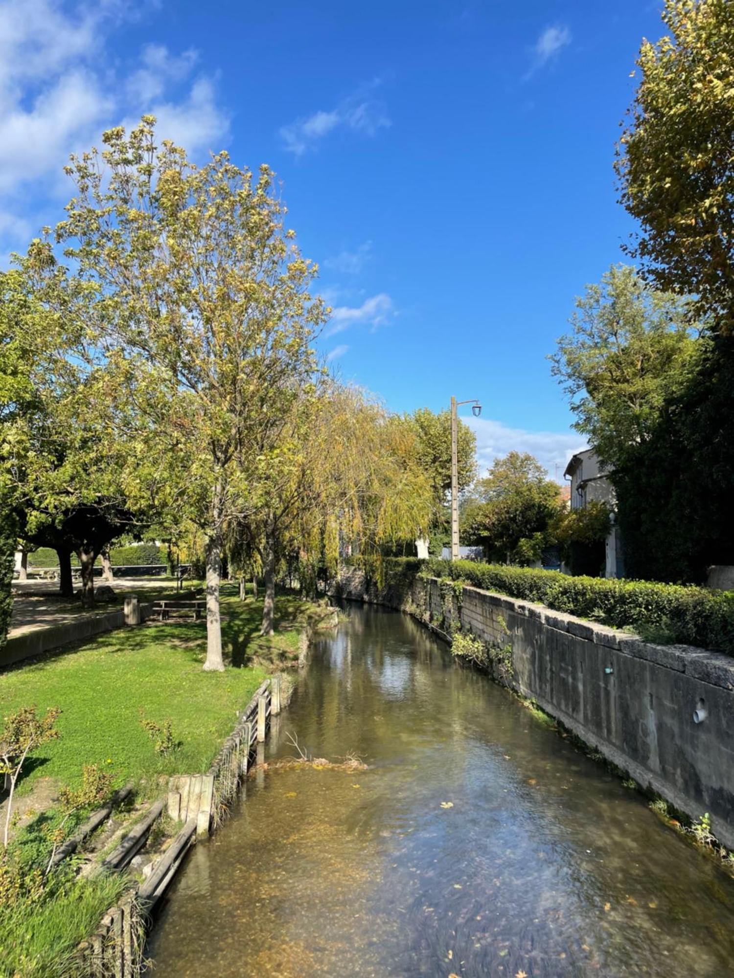 فيلا La Petite Rive - Les Oliviers Velleron المظهر الخارجي الصورة